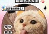 猫咪名字独特小众（猫咪名字独特小众古风）