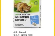 大宠爱驱虫药猫可以舔（大宠爱驱虫猫咪可以舔吗）