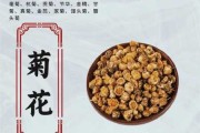 滁菊的功效与作用（滁菊的功效作用与主治）