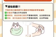 怎么给猫喂药视频教学（怎样给猫喂药简单）