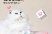 逗猫棒的作用是什么（逗猫棒有什么用）