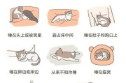 怎样纠正宠物猫钻被窝的行为（猫钻被窝会不卫生吗）