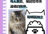 挪威森林猫优点和缺点（挪威森林猫价格一览表2021）