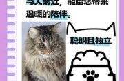 挪威森林猫优点和缺点（挪威森林猫价格一览表2021）