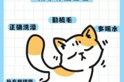 改善猫猫毛质的几大妙法（如何改善猫毛质量）