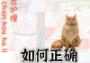 猫缩宫素间隔多久打一次（猫咪缩宫素打多了会有怎样的影响）