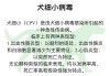 细小病毒狗狗撑过几天可以没事（细小病毒狗狗撑过几天可以没事1001无标题）