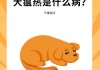 犬瘟热是什么热（犬瘟热是什么热型的病）