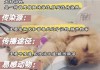 犬瘟热传染嘛（犬瘟热传染嘛能治好吗）