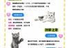 了解这些新手养猫注意事项（新手养猫需要注意的事项）