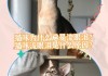 猫咪为什么总是流眼泪怎么回事（猫咪为啥总是流眼泪）