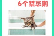 猫咪不爱洗澡怎么办（猫咪不爱洗澡怎么克服）