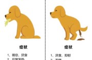 什么是犬瘟热（什么是犬瘟热病）