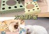 猫玩具买什么比较好（家猫玩具）