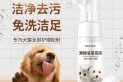 猫咪足部护理不可忽略的疾病（猫咪足部清洁什么好用）