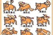 如何训练猫不上桌子拉屎（怎么教猫咪不上桌）