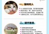 教你两招让猫咪听话的方法（怎么能让猫听话?）