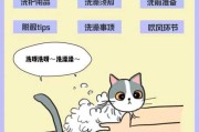 猫咪洗澡教学（猫 洗澡 方法）