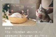 猫咪体内驱虫多久一次（猫咪体内驱虫多久一次,每次几片药）