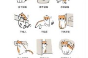 猫咪怎样训练让他乖巧听话（猫咪怎么训练才听话）