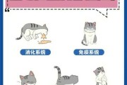 猫咪应激多久才能缓过来（猫咪突然不活泼了无精打采）