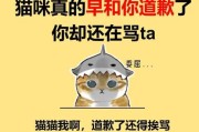 猫犯错了怎么教育他（猫犯错了怎么教育他的孩子）