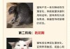 猫咪应激反应有什么症状（猫咪应激反应有什么症状图片）