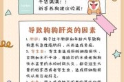 狗狗传染性肝炎的预防措施（狗狗得了传染性肝炎能活多久）