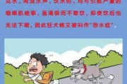 狂犬病小知识（狂犬病知识讲解）