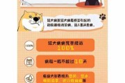 狗狗被猫咪抓伤了怎么办（狗狗被猫猫抓出血）