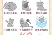 给猫咪驱虫怎么操作（给猫咪驱虫怎么操作一般一年几次）