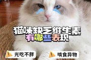 猫咪缺乏维生素a的症状（猫缺维生素会出现什么症状）