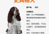 史宾格犬饲养方法（史宾格犬资料）