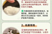 猫咪磨爪的原因及训练图片（猫磨爪的主要原因是什么）