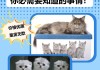 什么是星期猫,能治好吗（星期猫是什么意思?星期猫可以救活吗?）