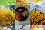 冬瓜饺子馅的做法大全素饺窍门（冬瓜饺子馅怎么做好吃素馅窍门）