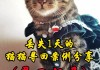 如何寻找走失的猫（如何寻找走失的猫狗）