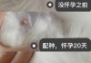 猫咪假怀孕的特征有哪些?（猫假怀孕是什么意思）