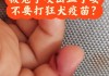 兔子打完疫苗的不良反应（兔子打了疫苗还能吃吗）