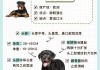 罗威犬价格多少钱一只（罗威犬价格多少钱一只幼犬）