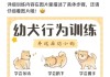 训练拉布拉多的小技巧视频（怎么训练拉布拉多29个基础动作）