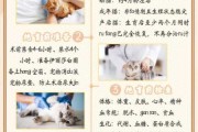 猫猫做绝育好处（猫猫做绝育好处有哪些）