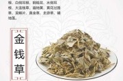 连钱草图片及功效作用（连钱草图片的功效与作用）