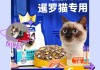 暹罗猫适合吃什么猫粮（暹罗猫吃什么猫粮?）