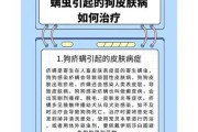 狗狗感染疥螨怎么治疗（狗感染疥螨会传染人吗）