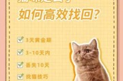 猫咪走丢了如何找回来（猫咪走丢了教你一招就能找回来）