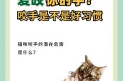 怎么改掉猫咪（怎么改掉猫咪咬手的毛病）