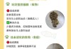 折耳猫呕吐常见原因分析（折耳猫呕吐常见原因分析）