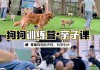 狗狗怎么唤回（狗狗唤回训练视频教学）