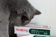 猫用化毛膏是什么原理（猫用化毛膏是什么原理制成的）